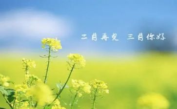 三月的工作总结8篇