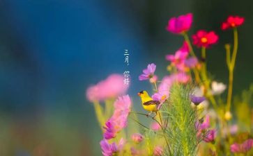 三月的工作总结最新6篇
