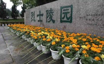 扫墓的心得体会7篇