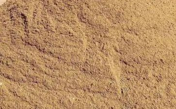 长沙游作文600字8篇