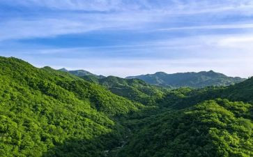 读后感绿山墙的安妮500字5篇