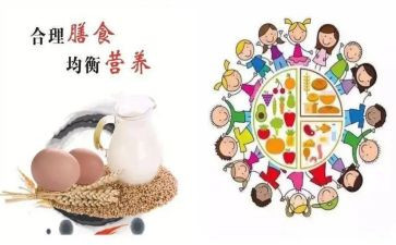 膳食组工作总结8篇