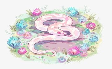 小猪和蛇读后感最新7篇