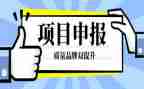 中级申报述职报告6篇