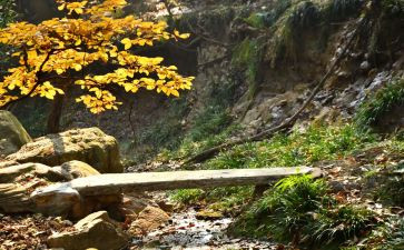 那深处的作文最新6篇