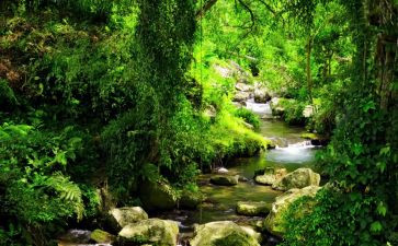 那深处的作文8篇