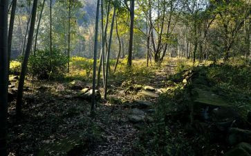 那深处的作文推荐5篇