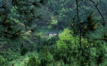 那深处的作文精选5篇