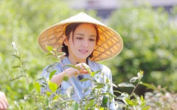 谐生活共分亭演讲稿最新8篇