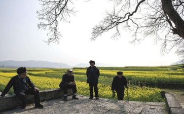 院生活部工作总结个人总结7篇