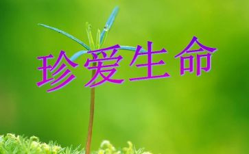 珍爱生命保安全演讲稿推荐7篇