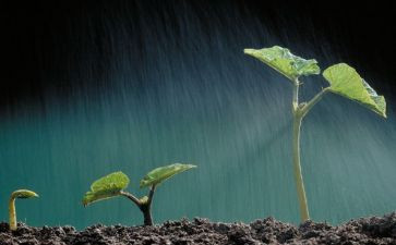 预防溺水珍爱生命演讲稿5篇