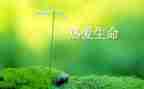 预防溺水珍爱生命演讲稿通用6篇