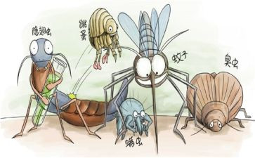 媒生物防制工作总结5篇