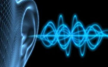 声音健康教案5篇