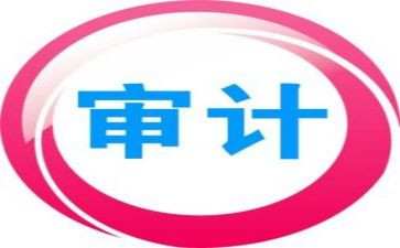 审计年终工作总结个人总结6篇