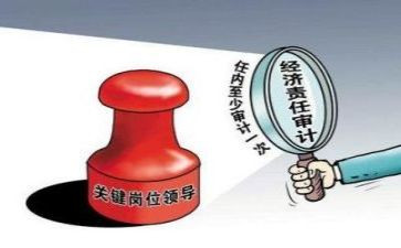 审计员的工作总结6篇