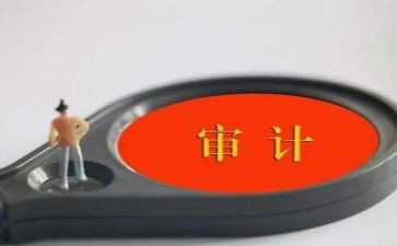 年报审计工作总结5篇