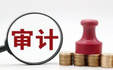 厅审计工作总结优质7篇