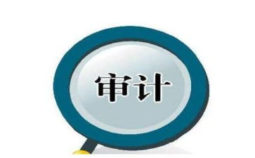审计人述职报告范文7篇