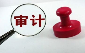 审计员的工作总结最新7篇