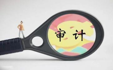 公司年度审计工作报告5篇