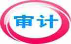 审计年终工作总结个人总结6篇