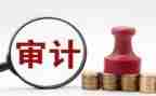 厅审计工作总结优质7篇