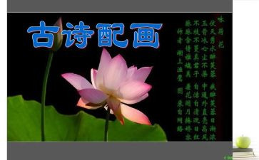 诗歌课教案精选5篇