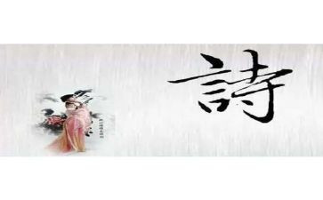有关诗的发言稿范文7篇