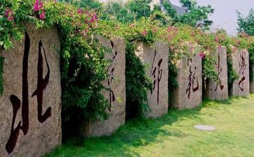 北师大培训心得体会5篇