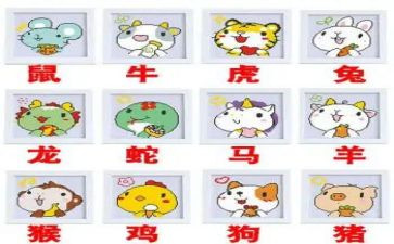 十二生肖教案模板6篇