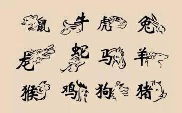 十二生肖教案通用8篇