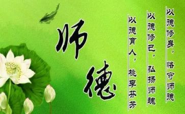 师德师风工作总结个人总结推荐8篇