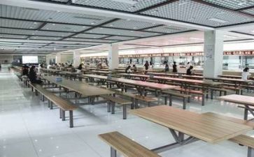 2024食堂个人年终总结范文5篇
