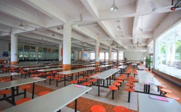 2024年食堂安全总结模板7篇