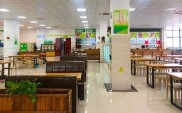 进食堂工作总结推荐5篇