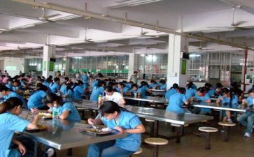 在食堂工作个人总结参考8篇