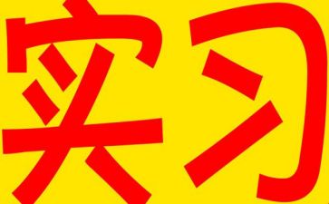 实用实习工作总结6篇