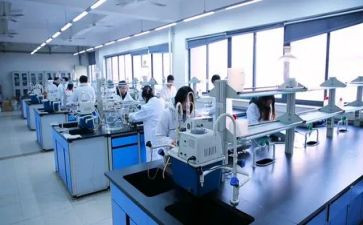 工作总结实验室优秀5篇
