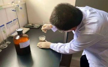 试验原工作总结模板5篇