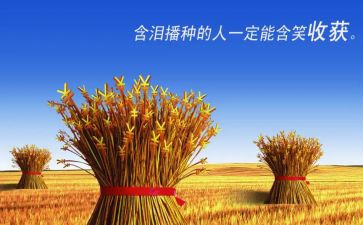 收获的2023工作总结推荐7篇