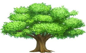 植树劳动演讲稿6篇