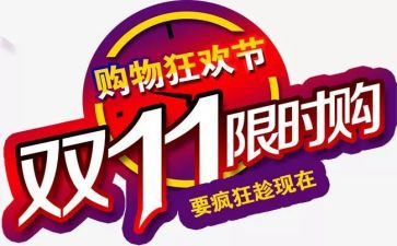 双11调查报告模板6篇
