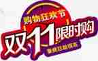 双11调查报告模板6篇