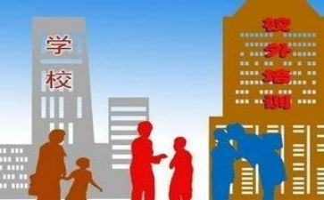 双减工作的心得体会7篇