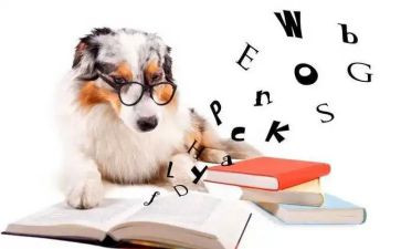 我的新双休日作文400字5篇
