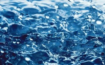 水电科述职报告5篇
