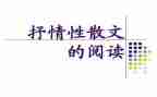 抒情散文类作文8篇