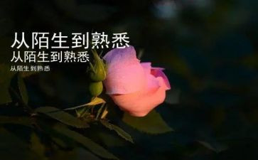 我在熟悉的人作文800字6篇